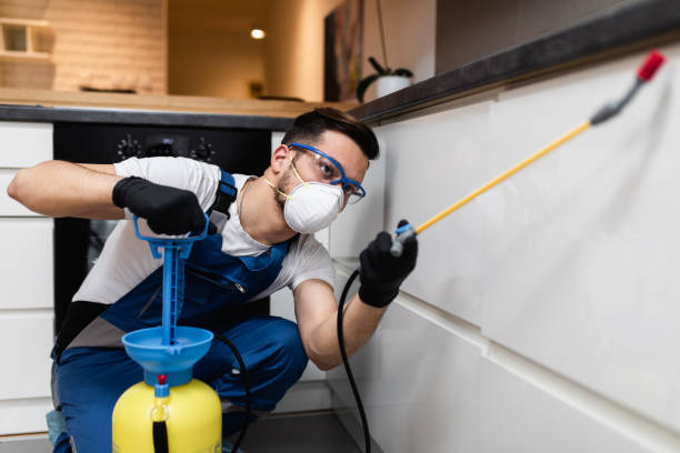 Best Pest Control for Restaurants  in San Clemente, CA