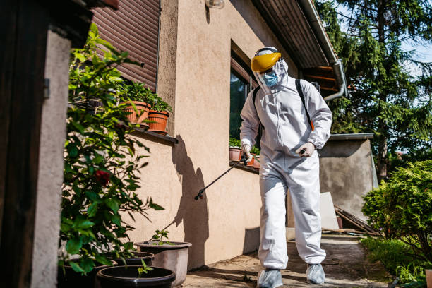 Best Wildlife Control Services  in San Clemente, CA