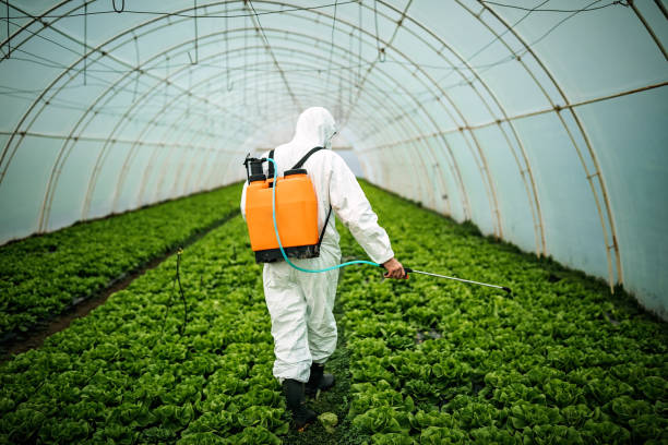Best Pest Prevention Services  in San Clemente, CA