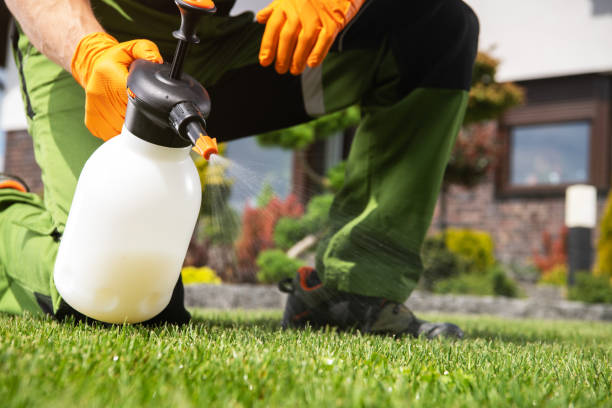 Best Pest Control Near Me in San Clemente, CA
