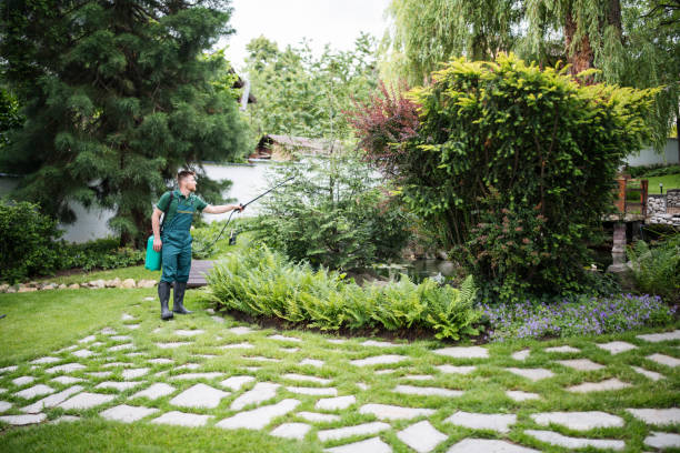Best Insect Control  in San Clemente, CA