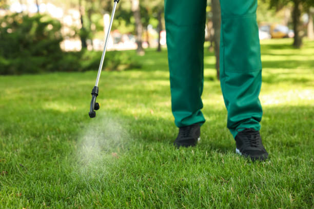 San Clemente, CA Pest Control Company
