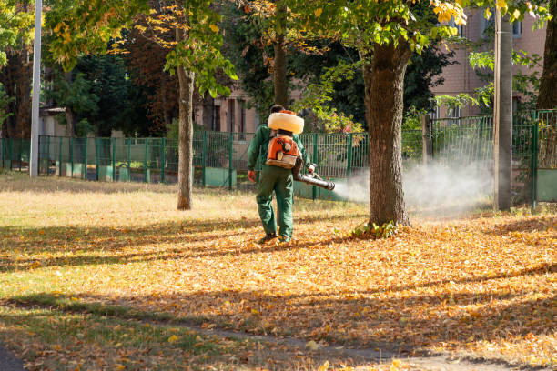 Best Commercial Pest Control Services  in San Clemente, CA